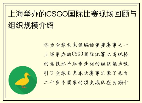 上海举办的CSGO国际比赛现场回顾与组织规模介绍